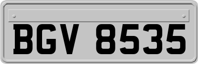 BGV8535