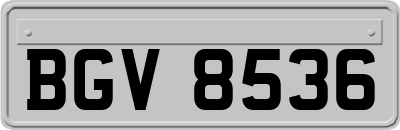 BGV8536