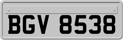 BGV8538