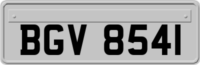 BGV8541