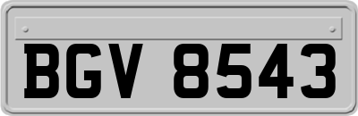 BGV8543