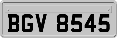 BGV8545