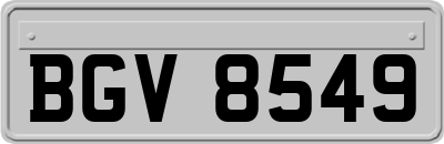 BGV8549