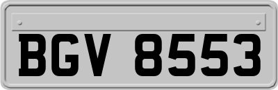 BGV8553