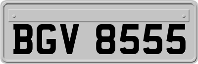 BGV8555