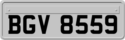 BGV8559