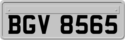 BGV8565