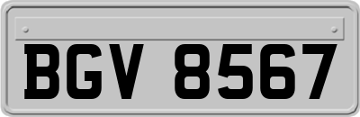 BGV8567