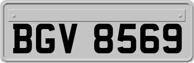 BGV8569