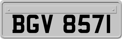 BGV8571
