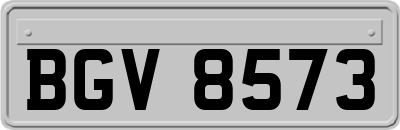 BGV8573
