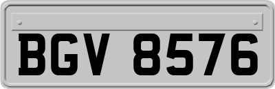 BGV8576