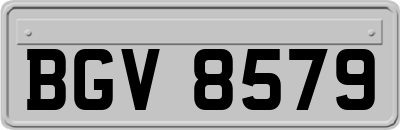 BGV8579