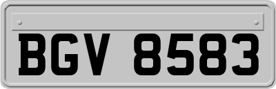 BGV8583