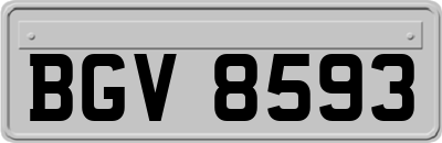 BGV8593