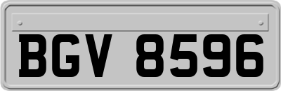 BGV8596