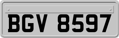 BGV8597