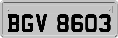 BGV8603