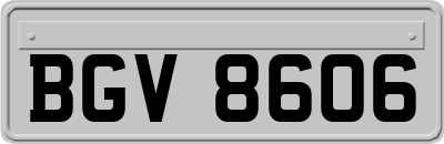 BGV8606