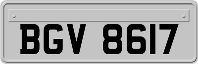 BGV8617