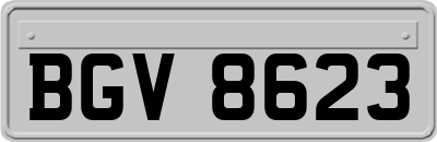 BGV8623