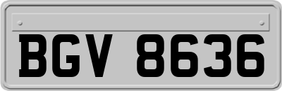 BGV8636