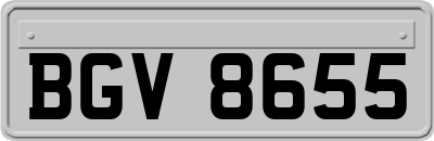 BGV8655
