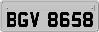 BGV8658