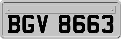 BGV8663
