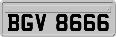 BGV8666