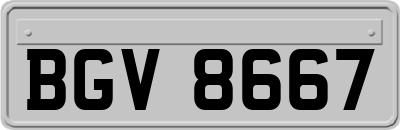 BGV8667