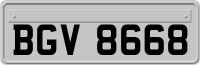 BGV8668