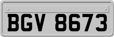 BGV8673