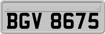 BGV8675
