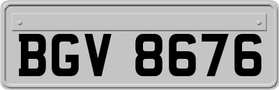 BGV8676