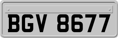 BGV8677