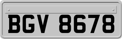 BGV8678