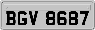 BGV8687