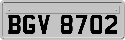 BGV8702