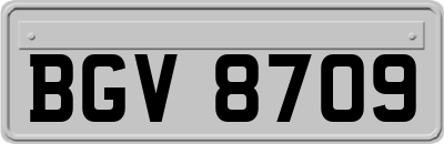 BGV8709