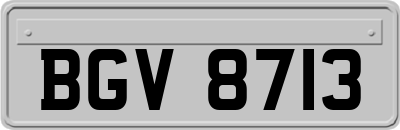BGV8713