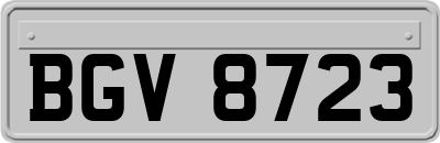BGV8723
