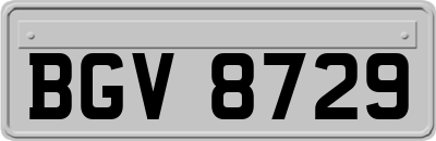 BGV8729
