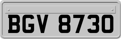 BGV8730