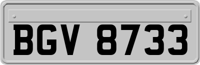 BGV8733
