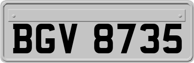 BGV8735