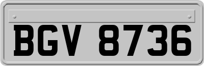 BGV8736