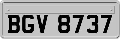 BGV8737