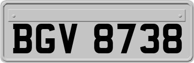 BGV8738