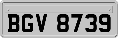 BGV8739